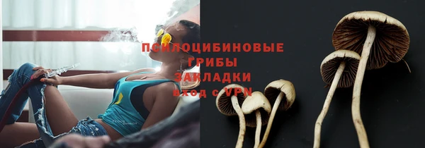 прущая мука Кукмор