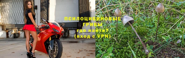 прущая мука Кукмор