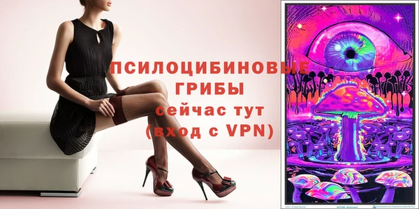 сатива Кулебаки