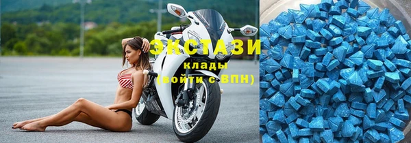 сатива Кулебаки