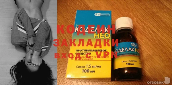 сатива Кулебаки