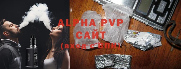 сатива Кулебаки